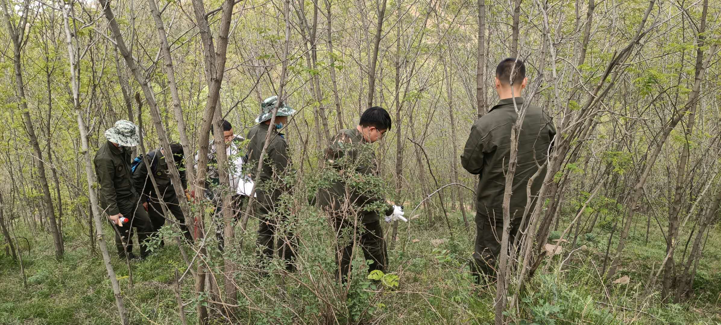 河南省鑫森源林业勘察规划设计有限公司