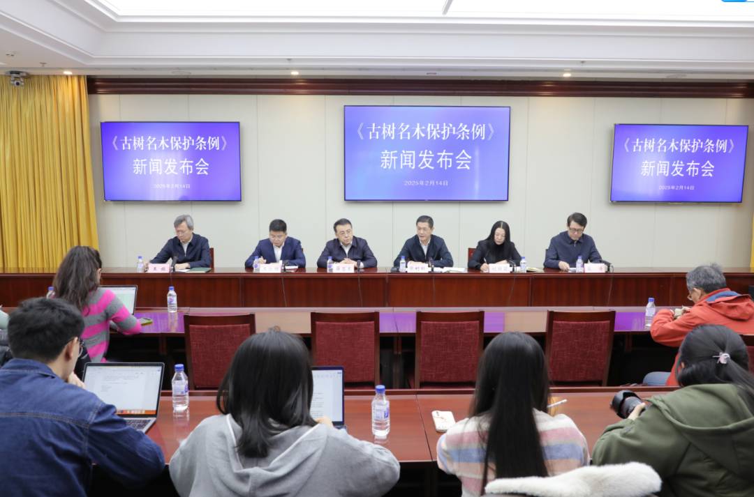 河南省鑫森源林业勘察规划设计有限公司