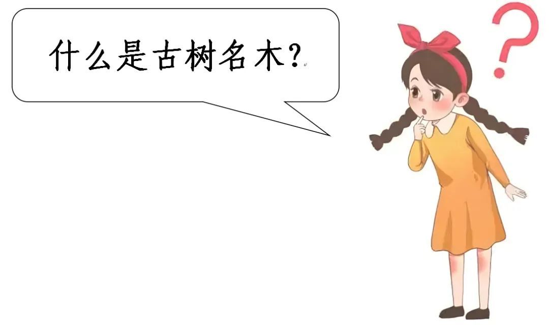 河南省鑫森源林业勘察规划设计有限公司
