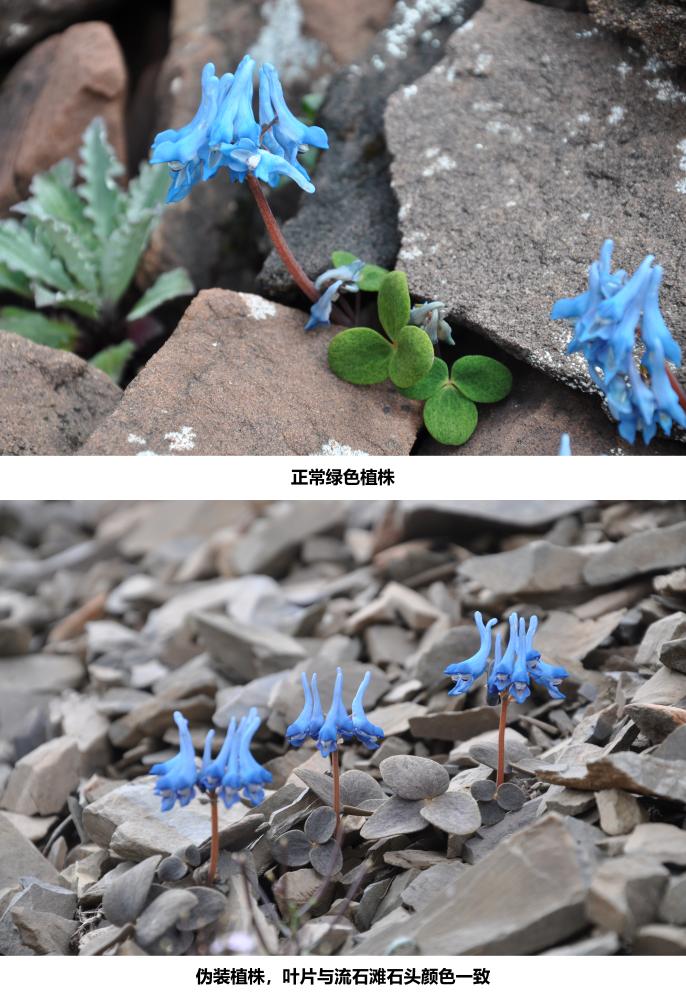 河南省鑫森源林业勘察规划设计有限公司