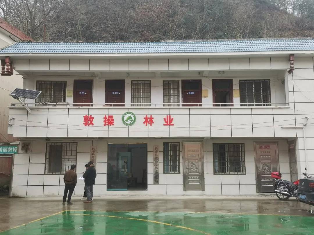 河南省鑫森源林业勘察规划设计有限公司