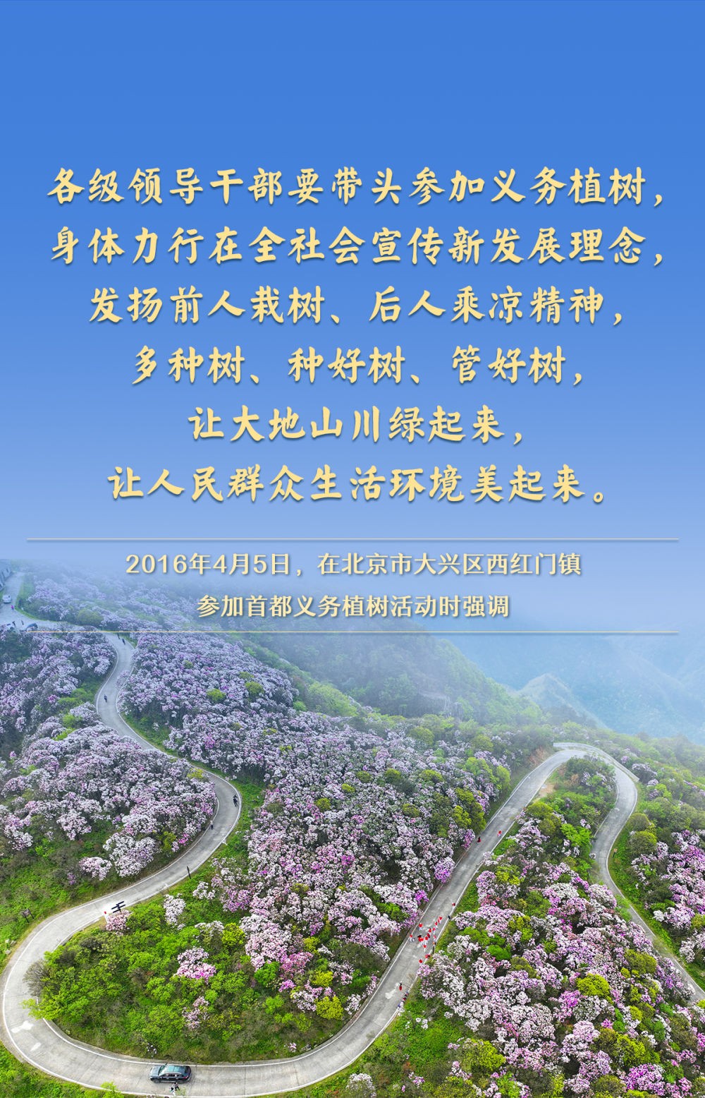 河南省鑫森源林业勘察规划设计有限公司