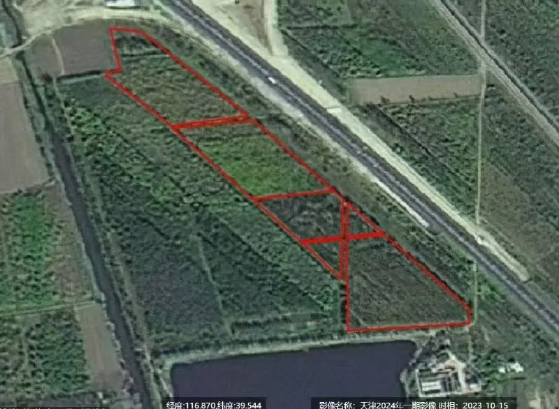 河南省鑫森源林业勘察规划设计有限公司
