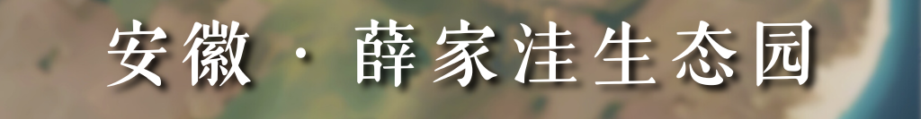 河南省鑫森源林业勘察规划设计有限公司