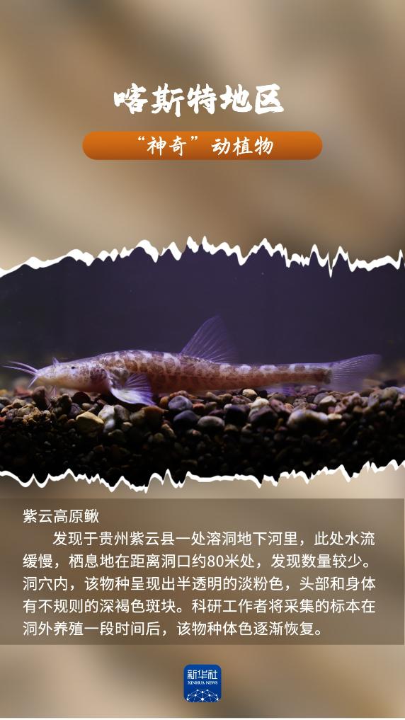 河南省鑫森源林业勘察规划设计有限公司