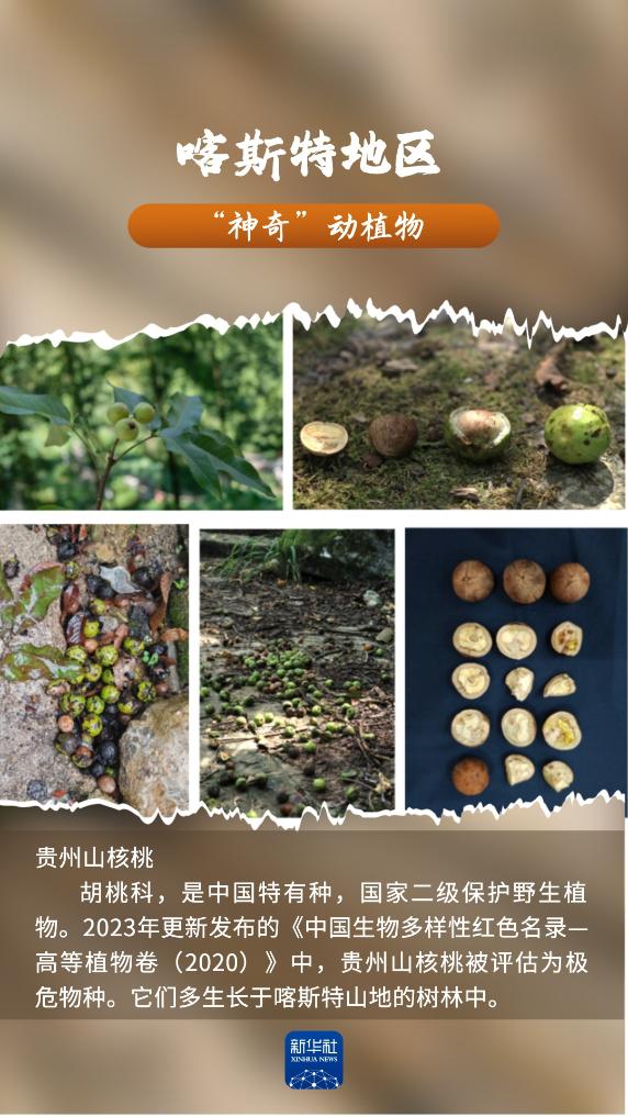 河南省鑫森源林业勘察规划设计有限公司