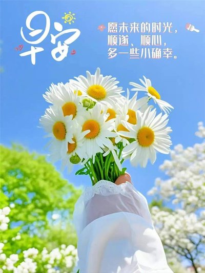 河南省鑫森源林业勘察规划设计有限公司