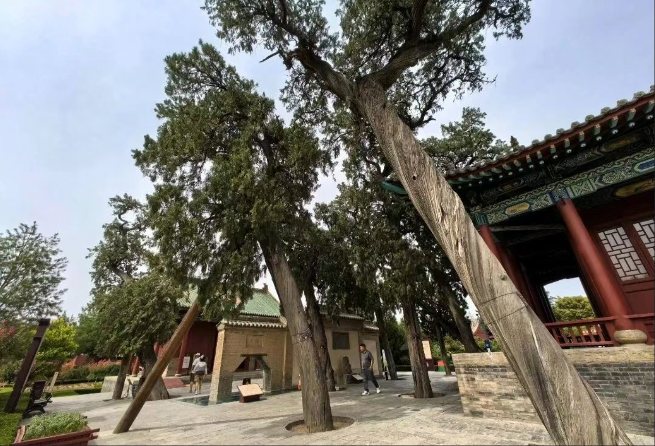 河南省鑫森源林业勘察规划设计有限公司