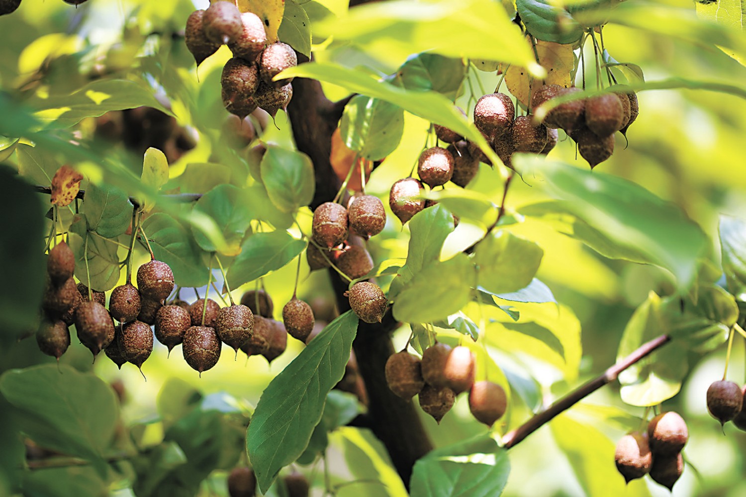 河南省鑫森源林业勘察规划设计有限公司