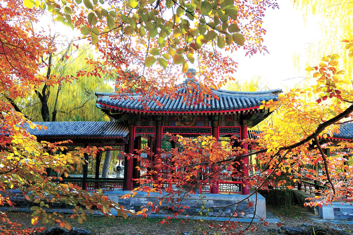 河南省鑫森源林业勘察规划设计有限公司