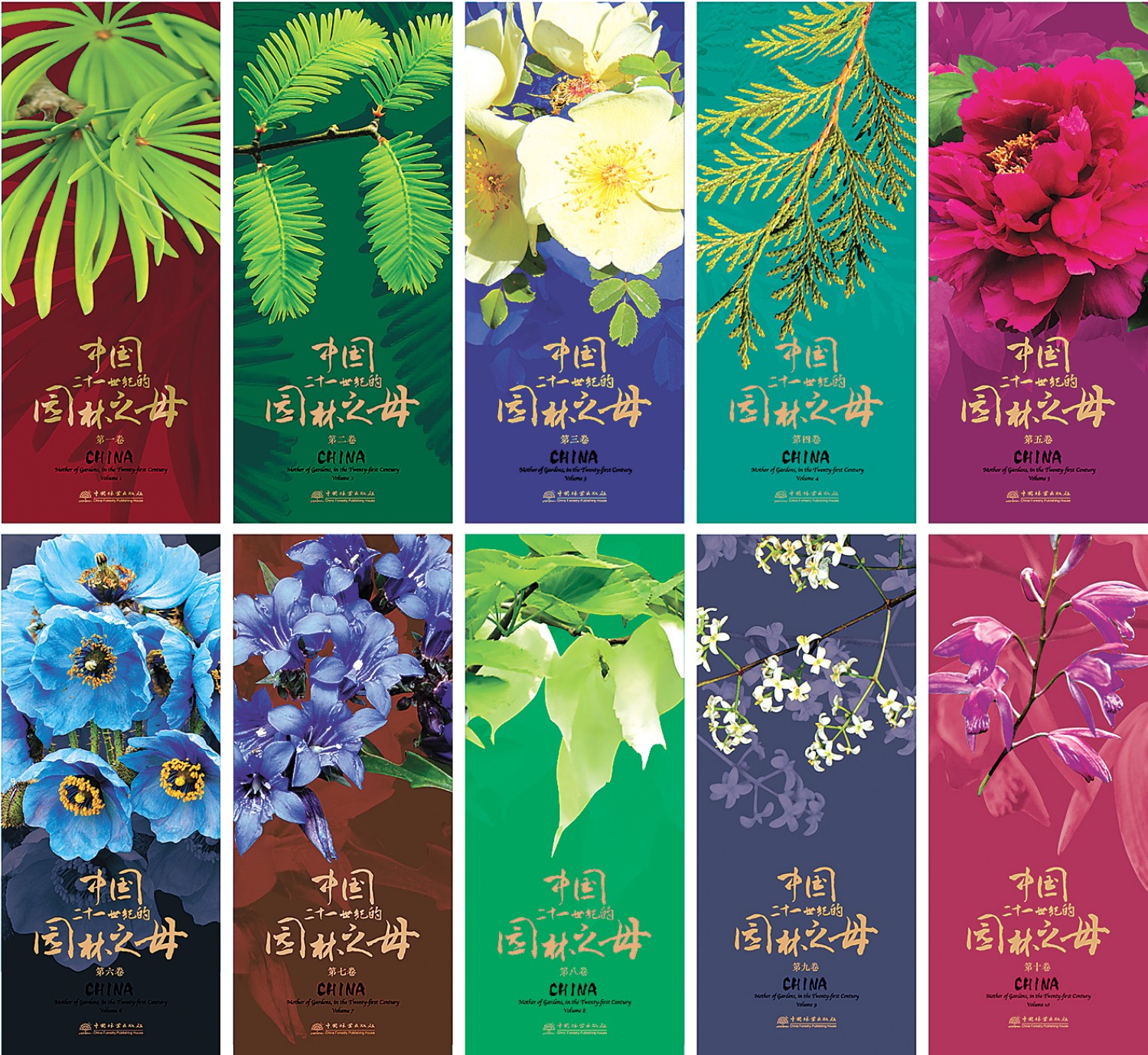 河南省鑫森源林业勘察规划设计有限公司