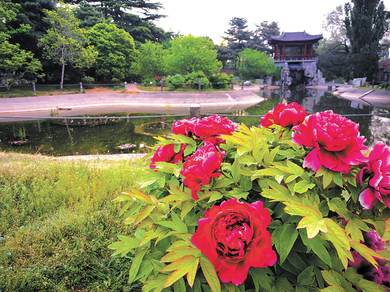 河南省鑫森源林业勘察规划设计有限公司