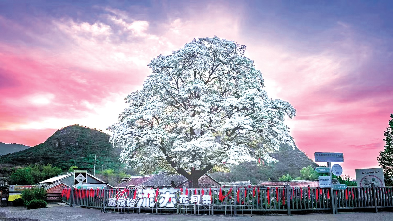 河南省鑫森源林业勘察规划设计有限公司