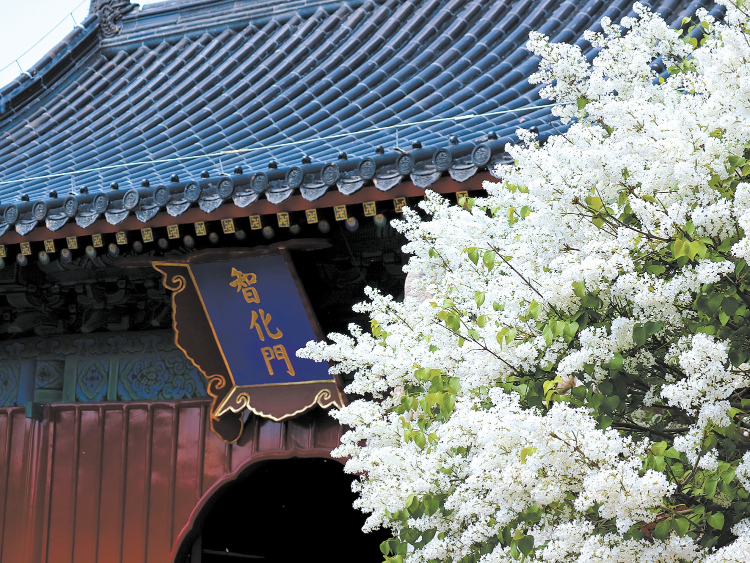 河南省鑫森源林业勘察规划设计有限公司