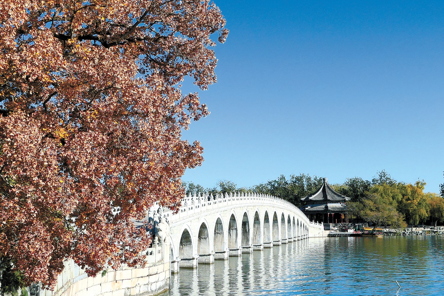 河南省鑫森源林业勘察规划设计有限公司