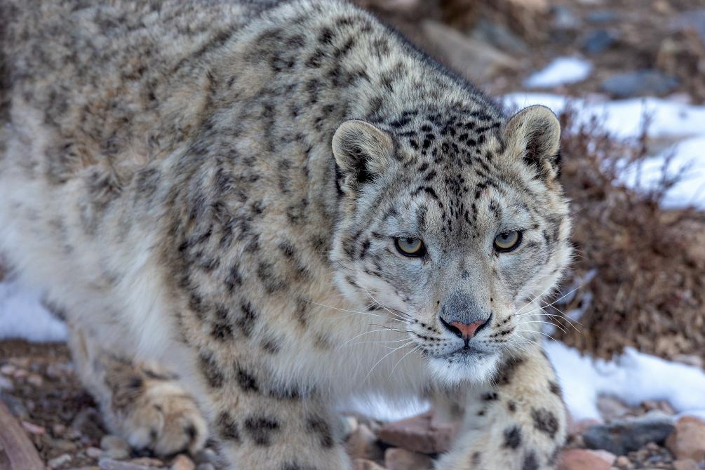 河南省鑫森源林业勘察规划设计有限公司