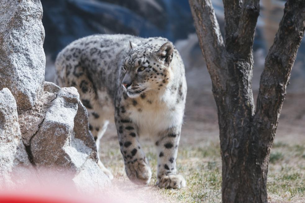 河南省鑫森源林业勘察规划设计有限公司