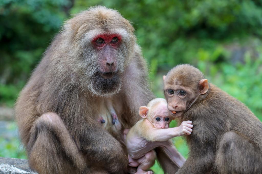河南省鑫森源林业勘察规划设计有限公司