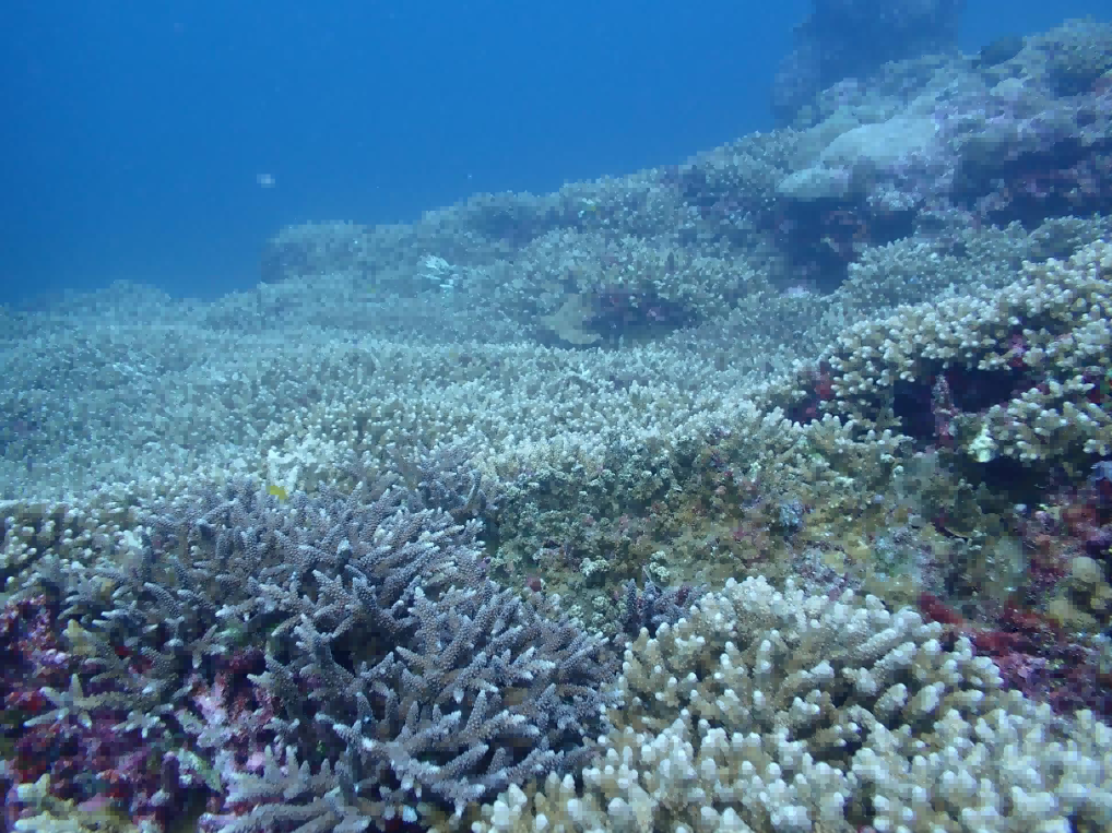 河南省鑫森源林业勘察规划设计有限公司