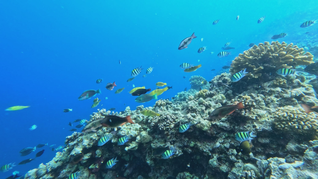 河南省鑫森源林业勘察规划设计有限公司