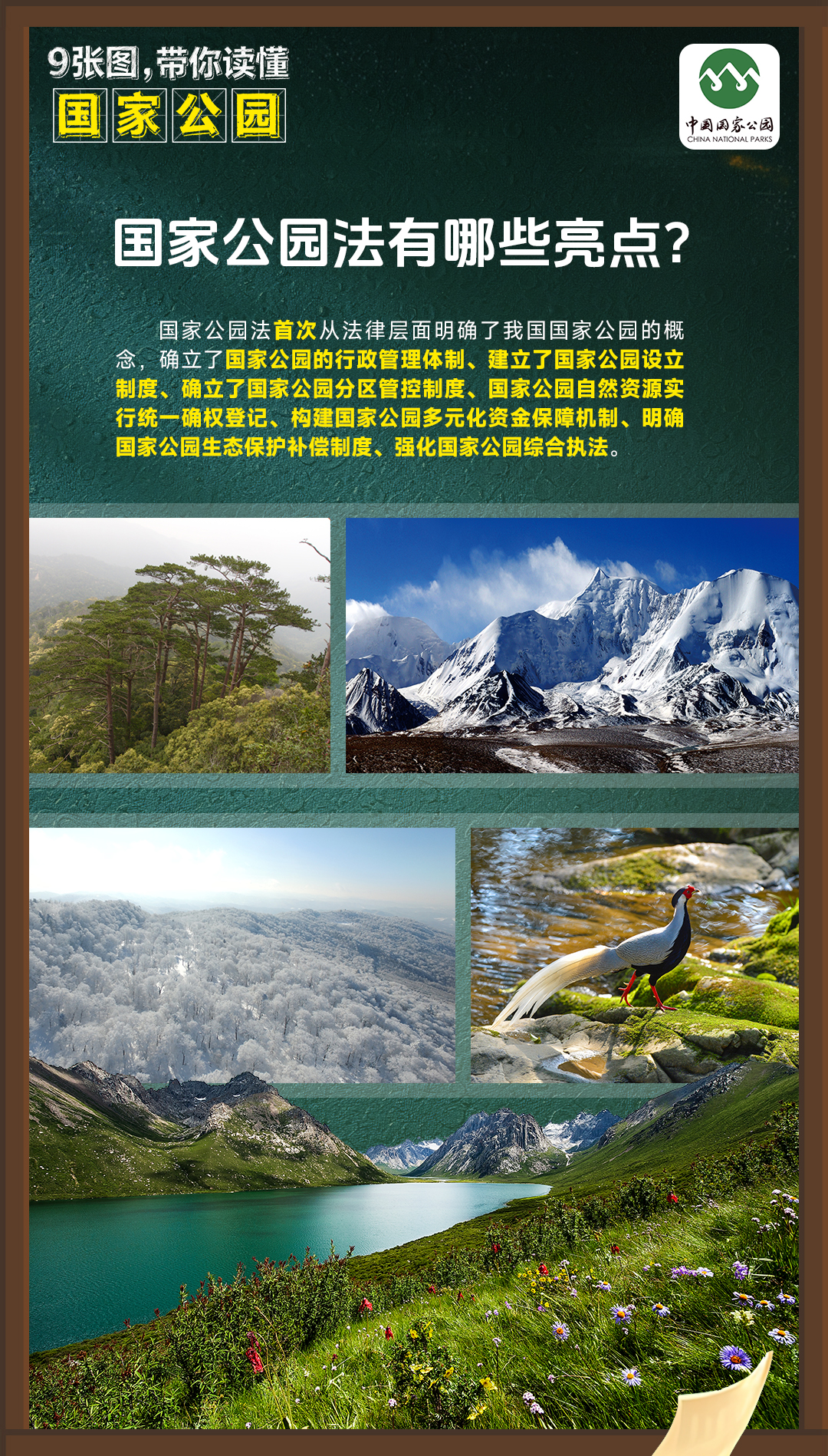 河南省鑫森源林业勘察规划设计有限公司