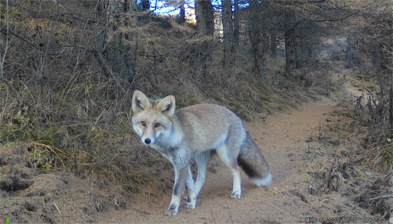 河南省鑫森源林业勘察规划设计有限公司