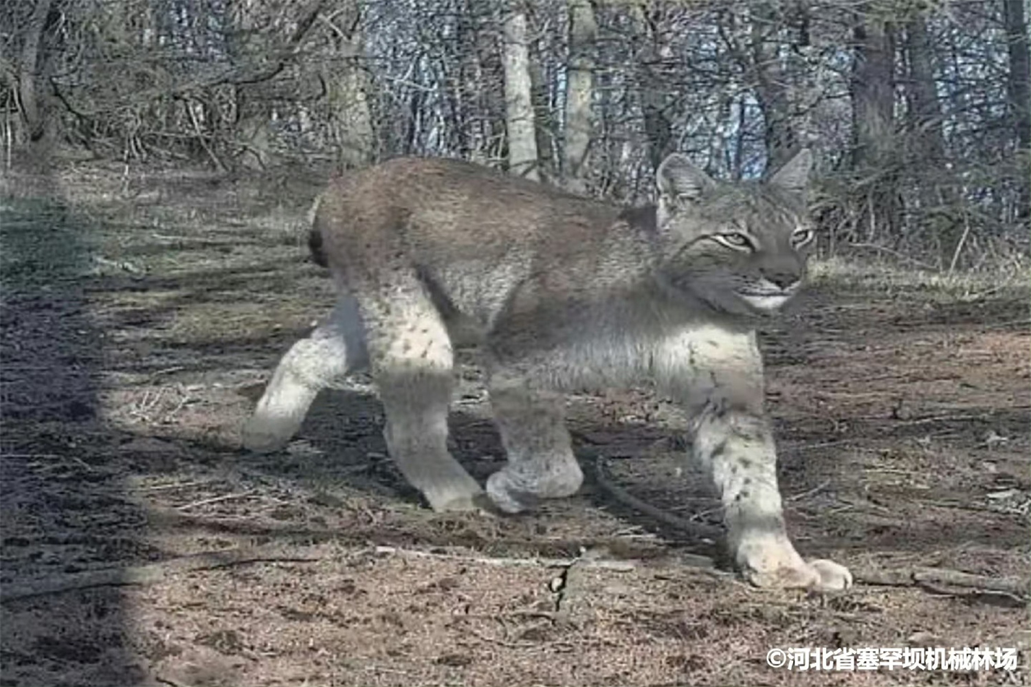 河南省鑫森源林业勘察规划设计有限公司