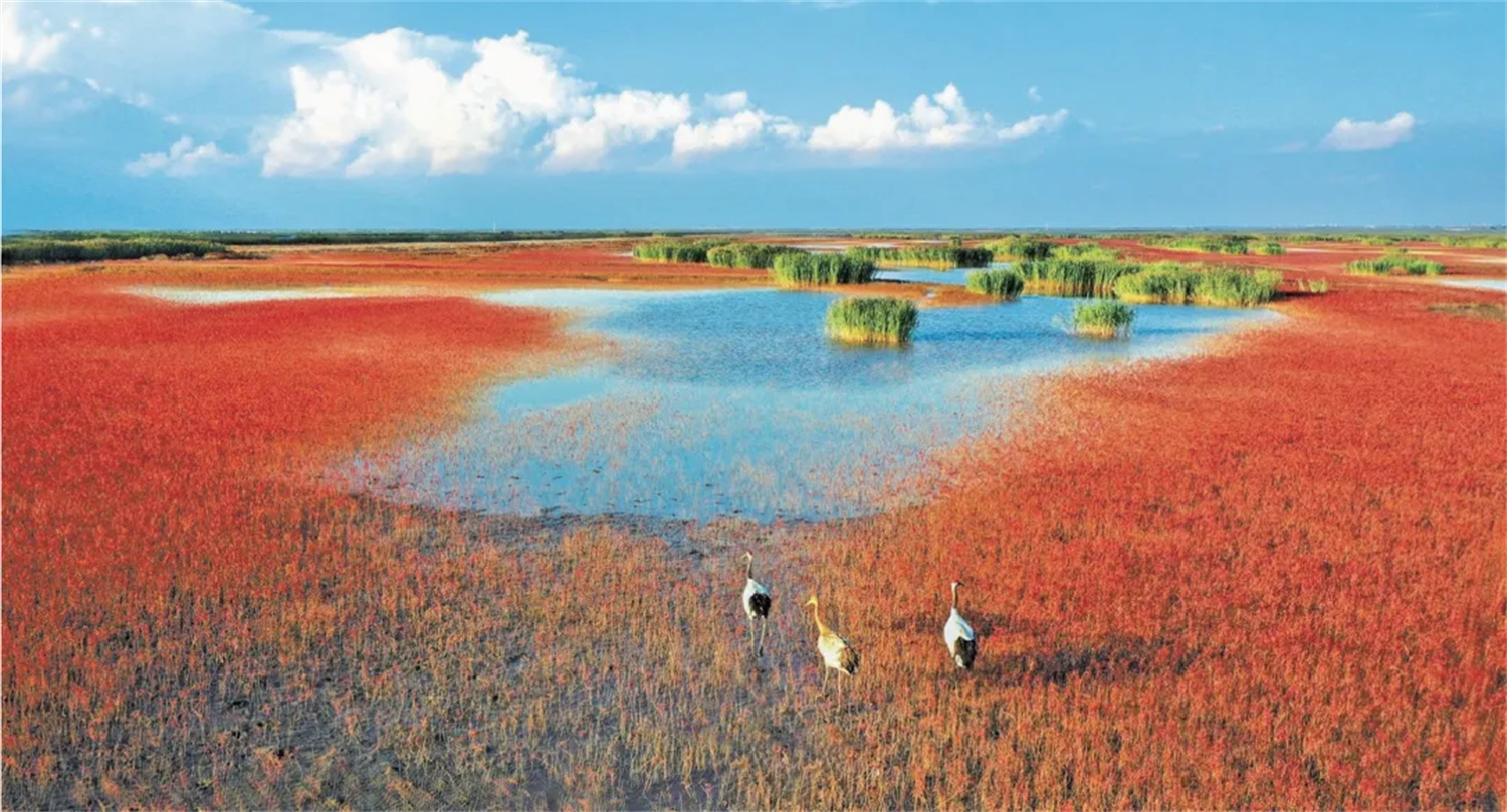 河南省鑫森源林业勘察规划设计有限公司