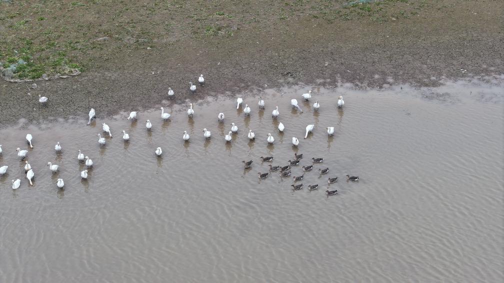 河南省鑫森源林业勘察规划设计有限公司