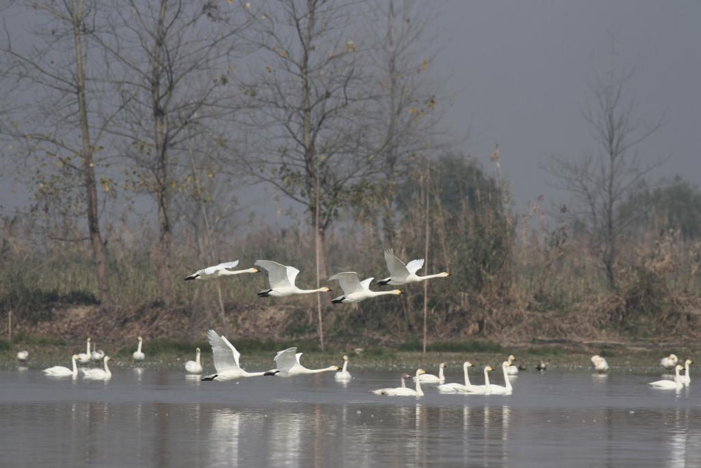 河南省鑫森源林业勘察规划设计有限公司