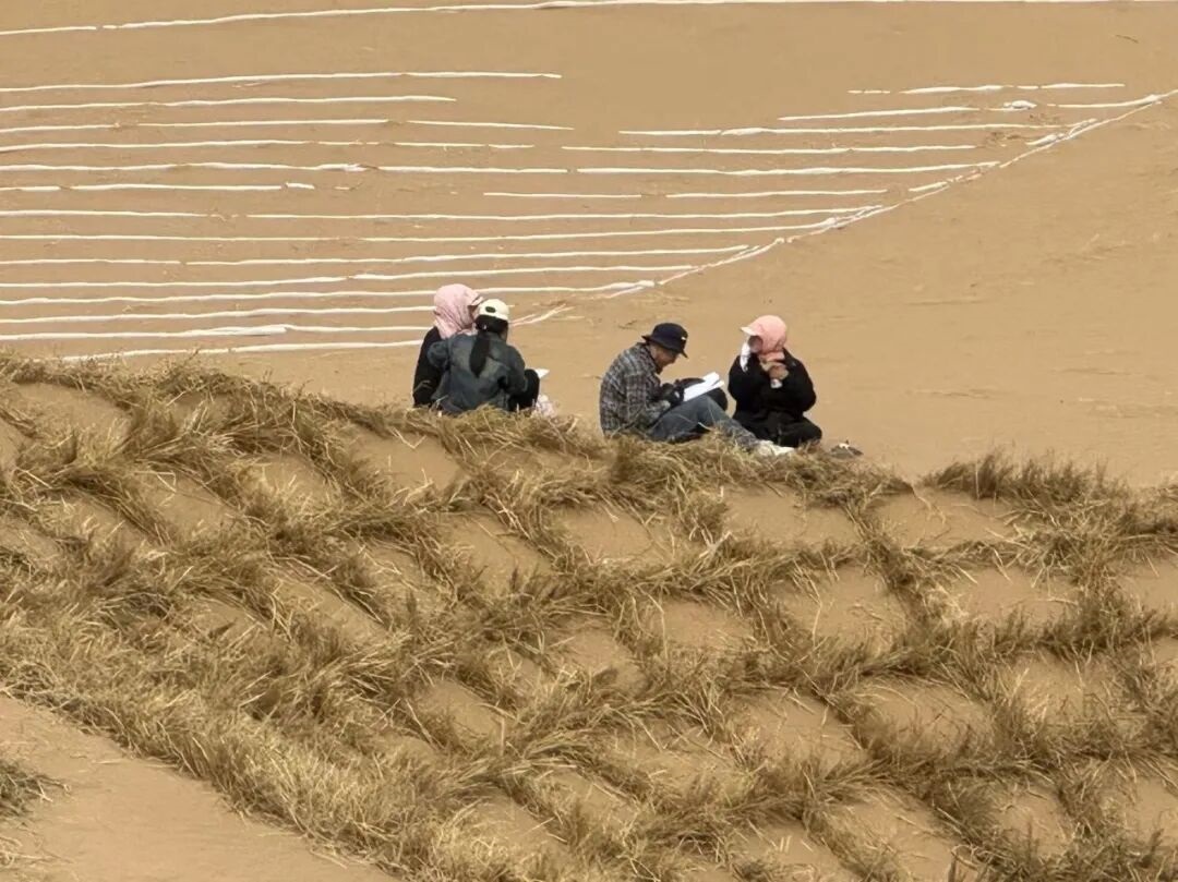 河南省鑫森源林业勘察规划设计有限公司