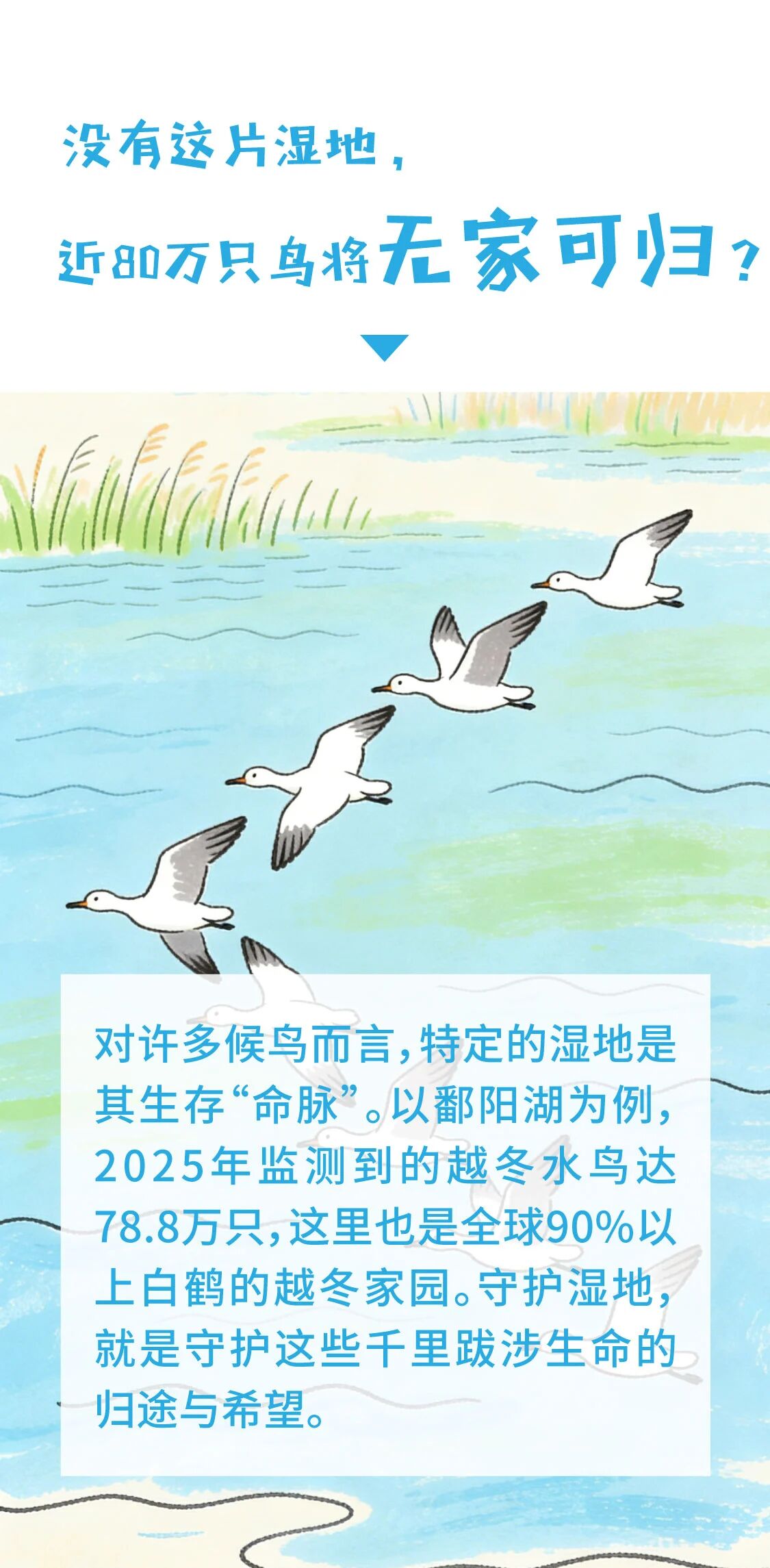 河南省鑫森源林业勘察规划设计有限公司