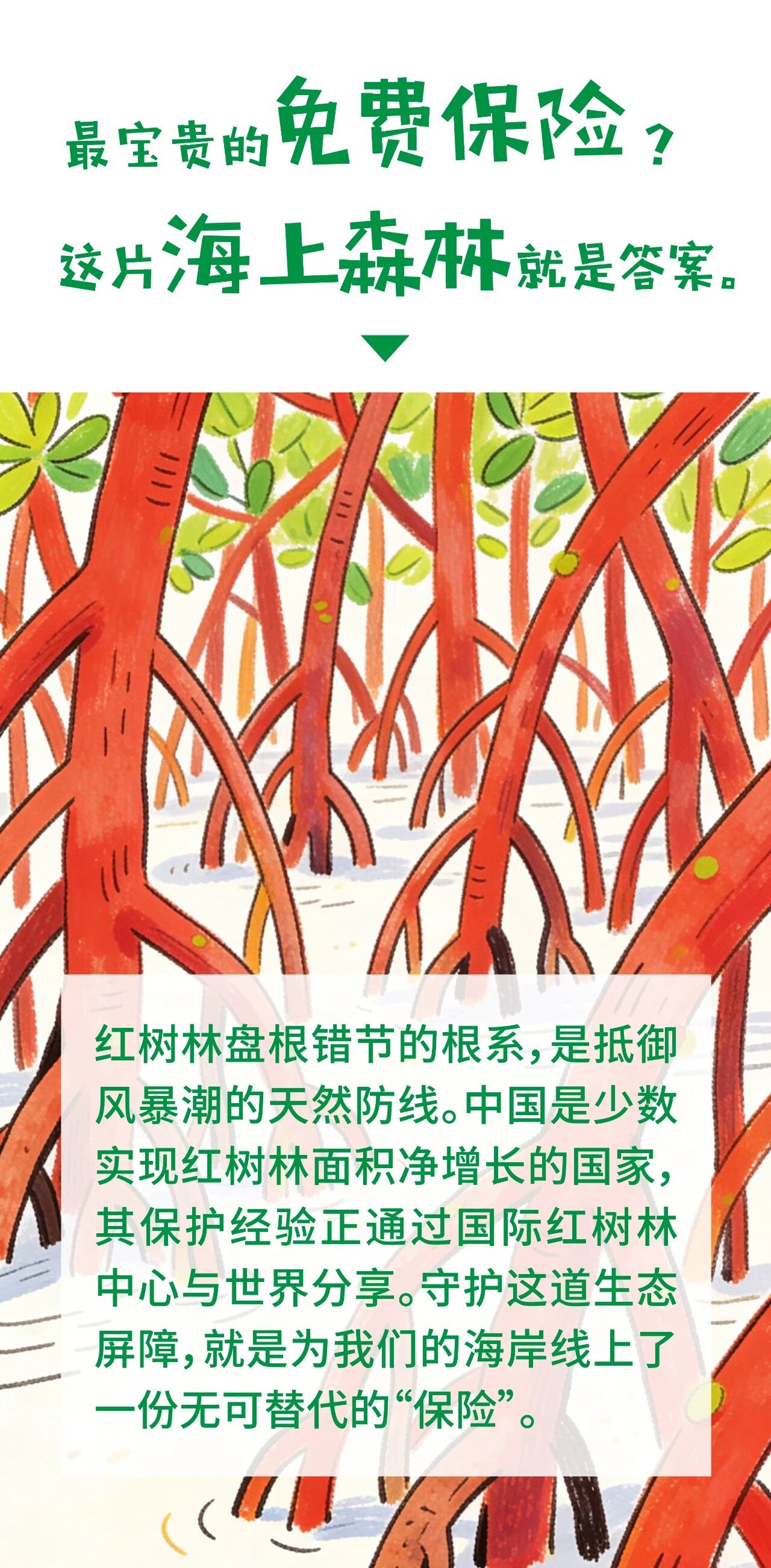 河南省鑫森源林业勘察规划设计有限公司