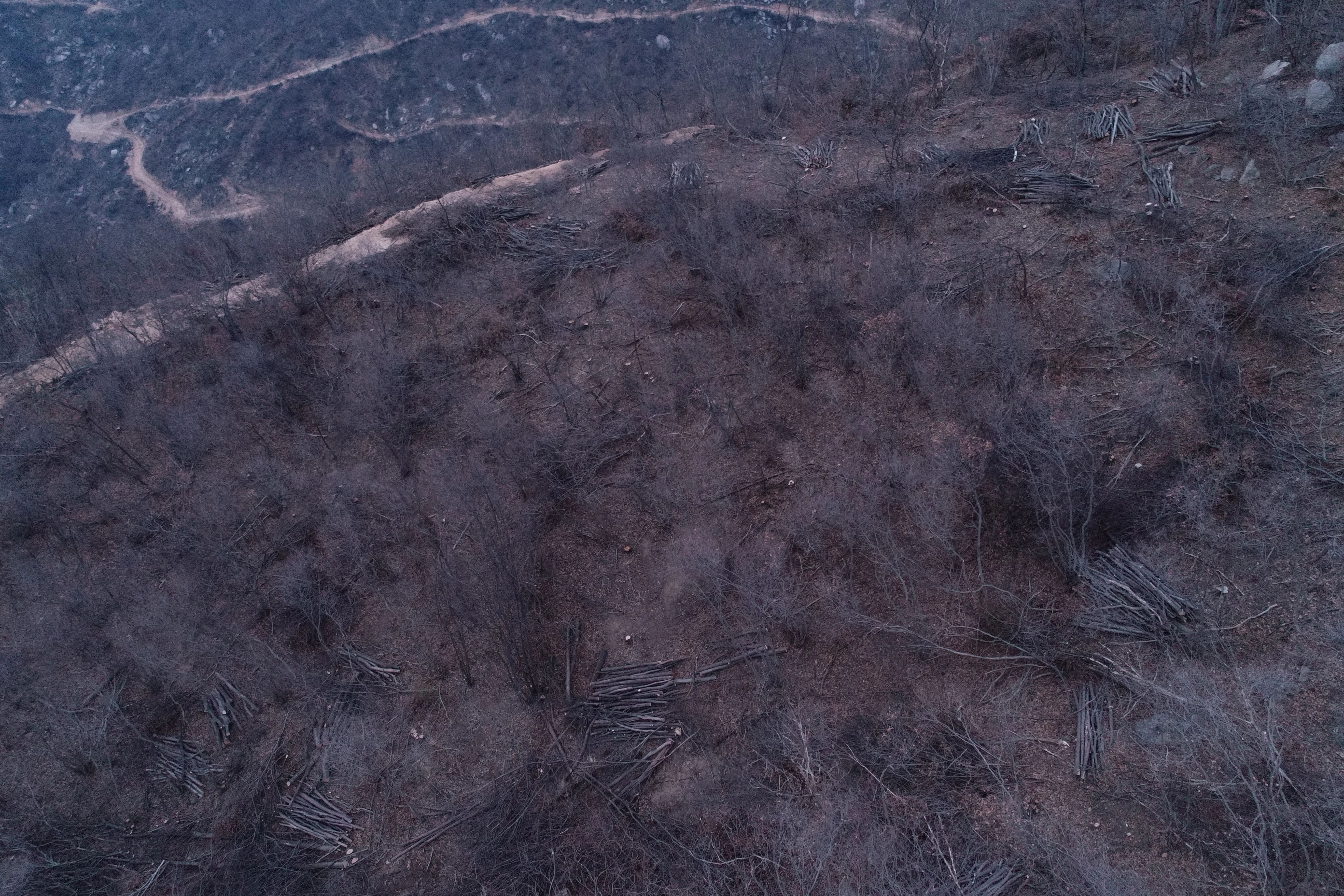 河南省鑫森源林业勘察规划设计有限公司
