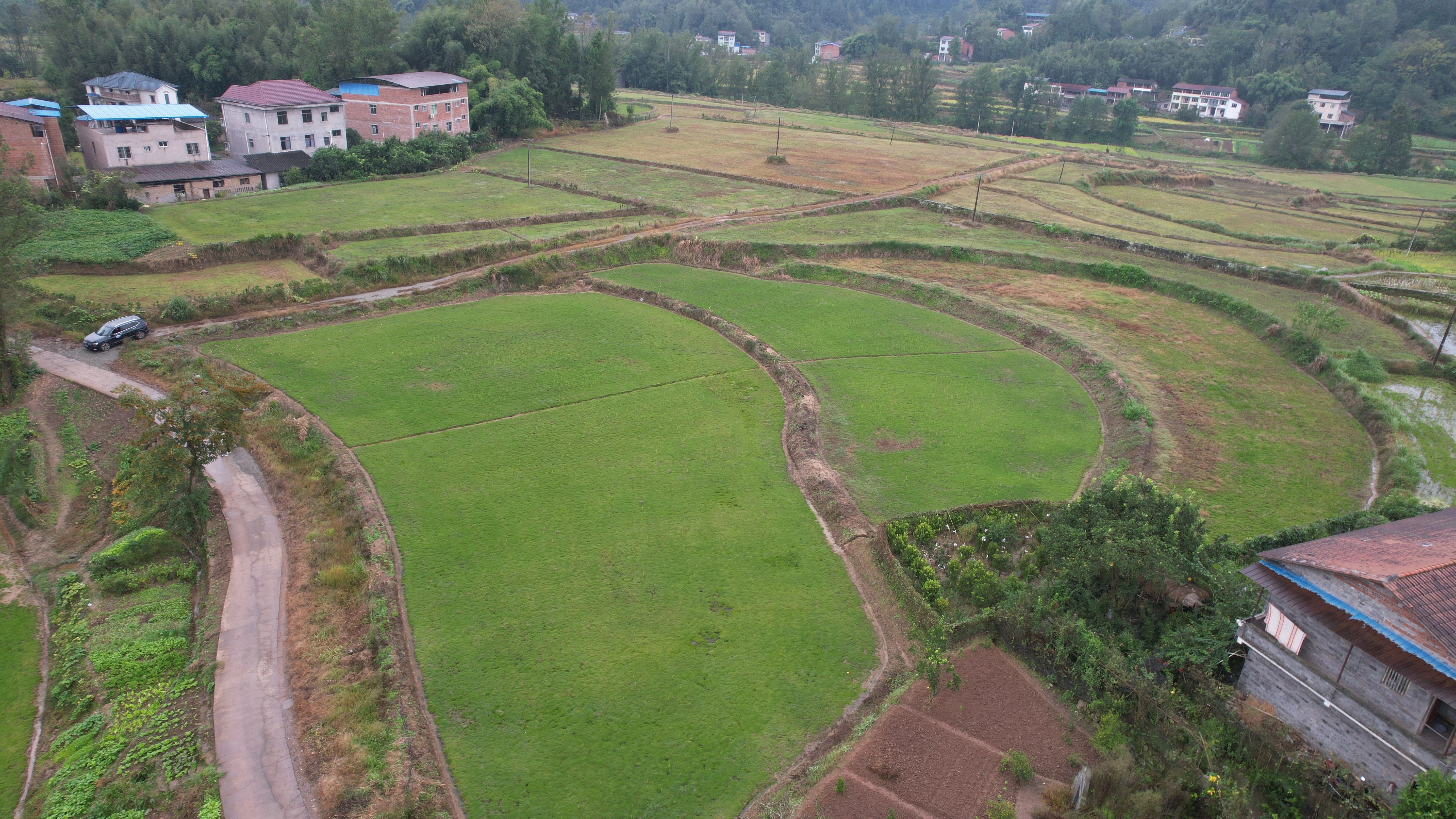 河南省鑫森源林业勘察规划设计有限公司