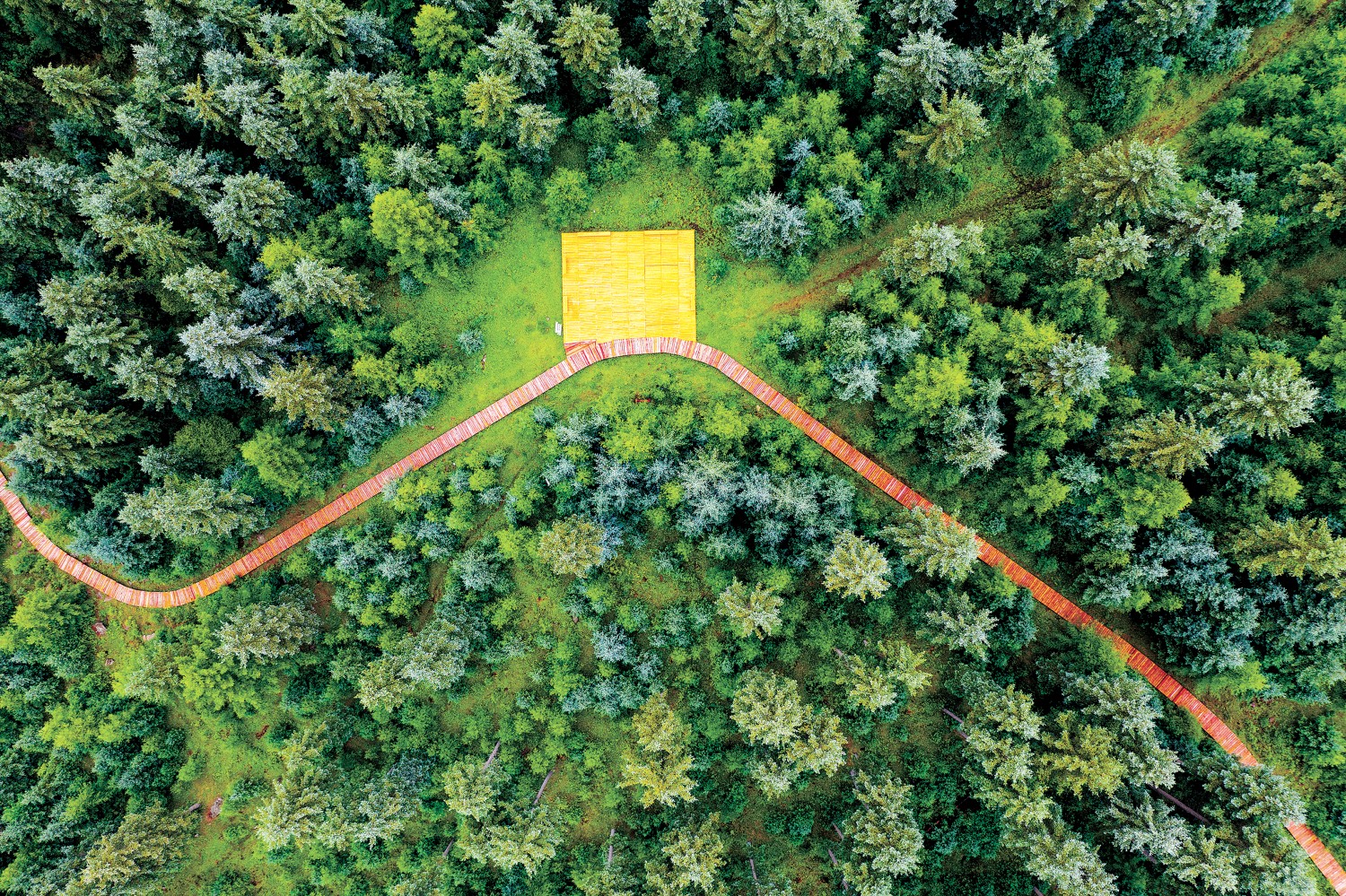 河南省鑫森源林业勘察规划设计有限公司